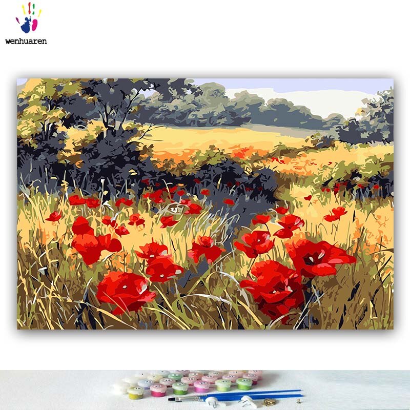 Gjør-det-selv-farger bilder etter tall med farger rød valmue blomst felt bilde tegning maleri etter tall innrammet hjem: 80 x 100 no ramme