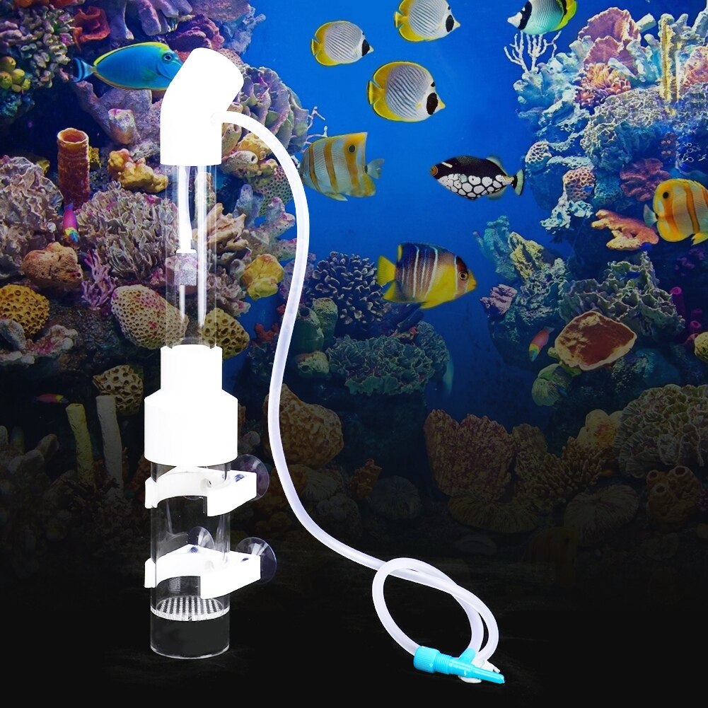 40 mmx 30cm akryl akvarium med gennemsigtige sugekop cichlider ølkande inkubator fiskeyngel rugeri æg