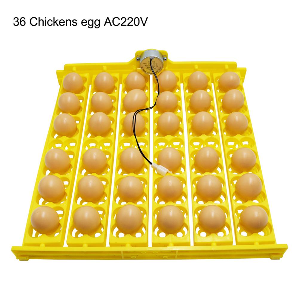 Incubadora de huevos automática para incubar huevos de gallina, girador pequeño de 36 huevos, bandeja para huevos de aves 156 con electricidad