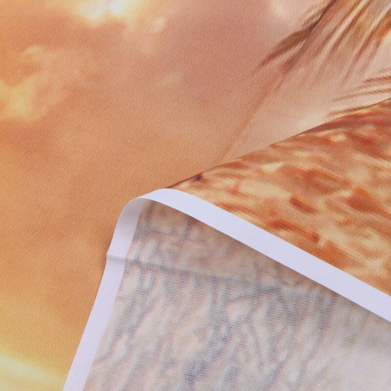 2 stk fotografi bakgrunner vinyl bakgrunn rekvisitter 5 x 3ft -  strand solnedgang skjønnhet & påskeegg luftballong tegneserie