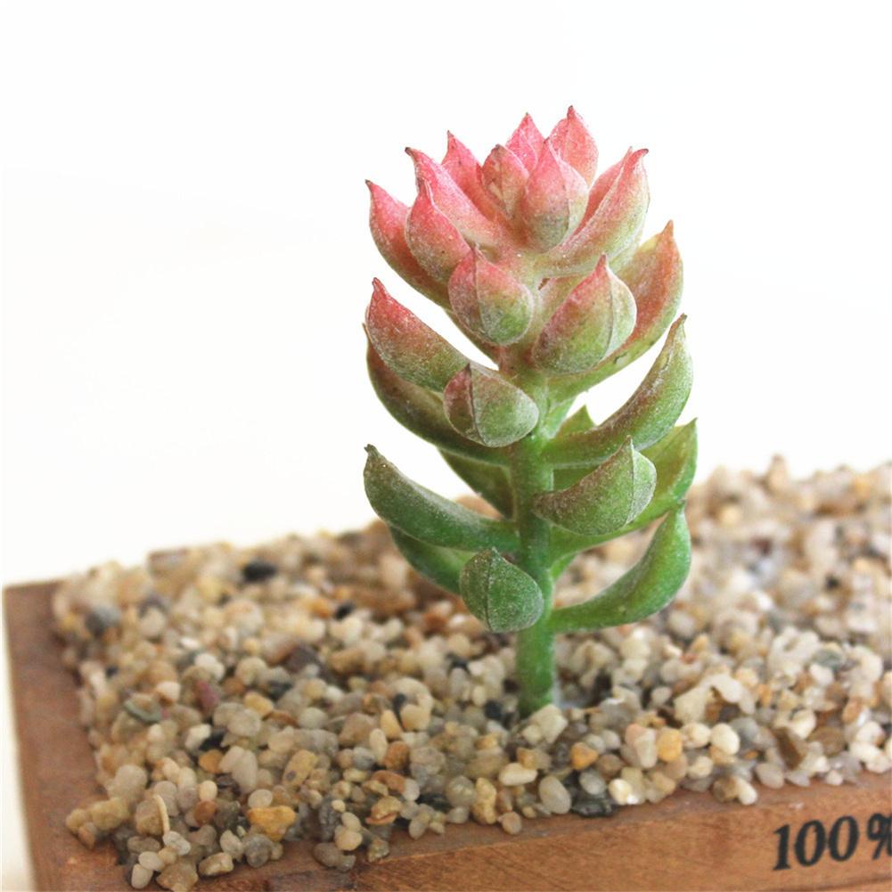 1pc miniatyr sukkulenter simulering mini diy plast kontor dekor hage hjem delikat bonsai blomster kunst tilbehør ornament