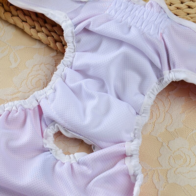 Dog Physiological Pants Diaper Sanitary Washable Female Dog Panties Shorts Underwear Briefs for Dogs Sanitary Panties Brand