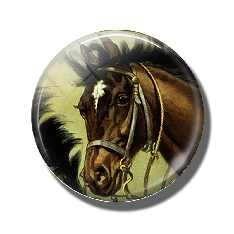 Pferd 30 MM Kühlschrank Magnet Glas Kuppel Cabochon Magnetischen Kühlschrank Aufkleber Hinweis Halfter Nette Tiere Wohnkultur: Schwarz