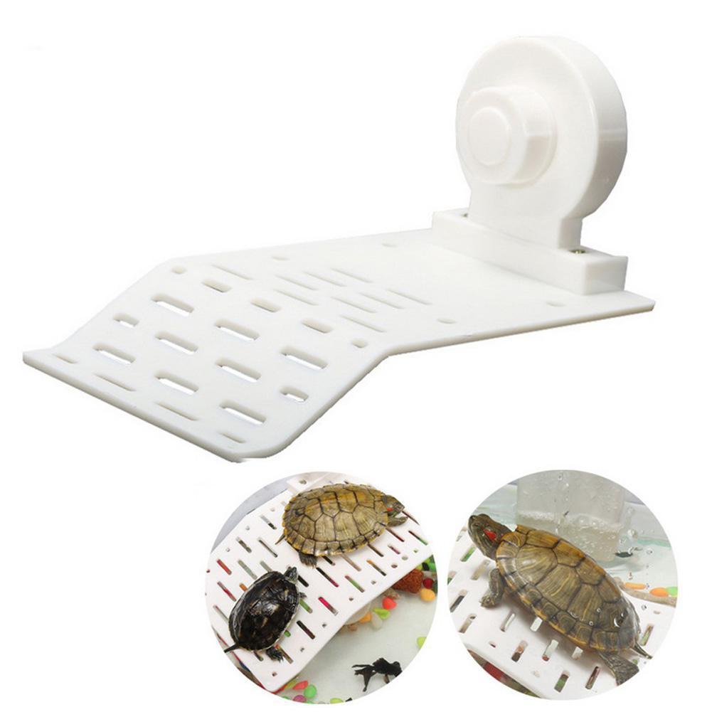 Plataforma de secado de Reptiles, isla flotante con taza de succión para decoración de pecera de acuario