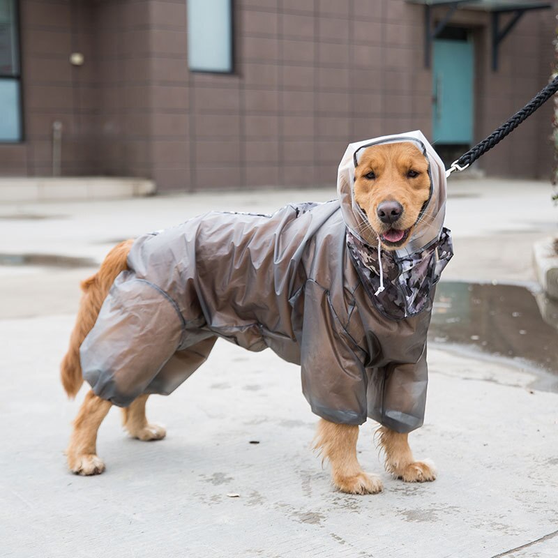 Stor hund regnfrakk firbeint vanntett all inclusive golden retriever hundetøy kjæledyr shiba inu samoyed stor hund labrador: Svart / 8xl bak 76 byste 103