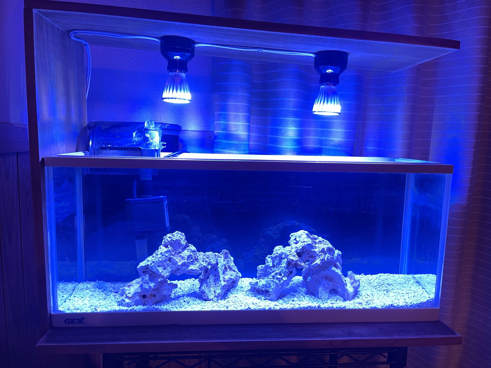 Luz LED para acuario para pecera, bombilla de coral de arrecife, luz de cultivo E27 para peces, plantas acuáticas, 10W