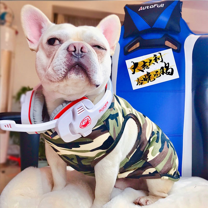 Bomull fransk bulldog sommar cool kamouflageväst för mops kostym husdjur hundkläder för små hundar husdjur kläder yorkshire tshirt