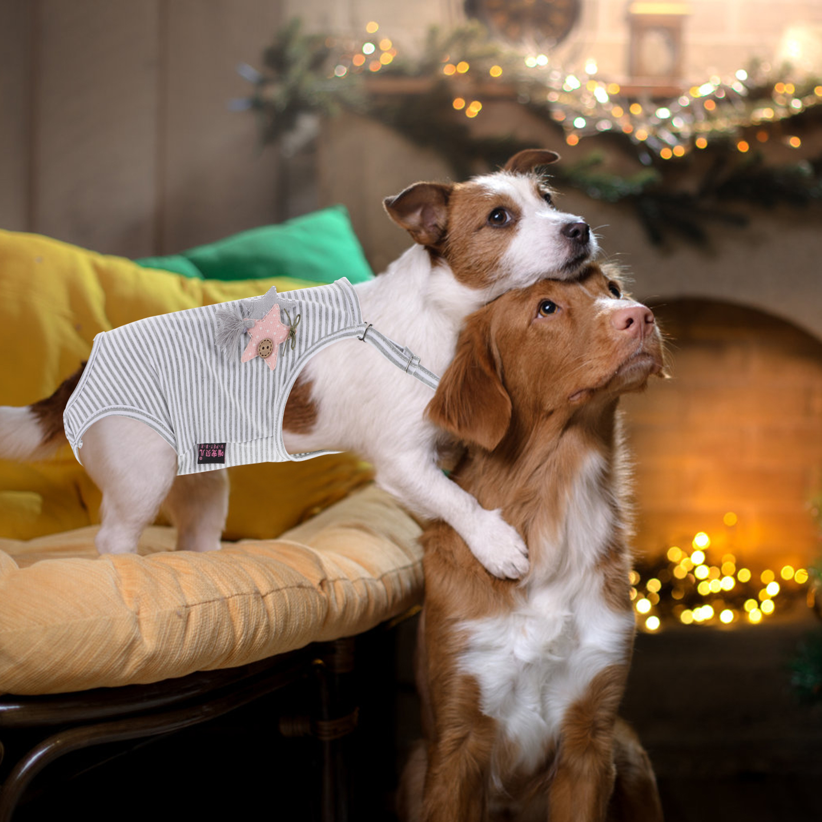 Hosenträger, physiologische Hosen, Heimtierbedarf, Welpen-Hygiene-Höschen, Hundewindeln, Geschirr für kleine Hunde