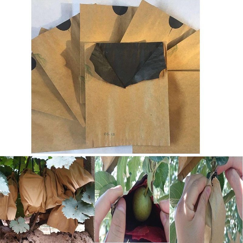 Bolsas de protección impermeables para fruta, bolsa de manzana, melocotón, manzana, naranja, Kiwi, prevención de insectos y aves, 100 Uds.