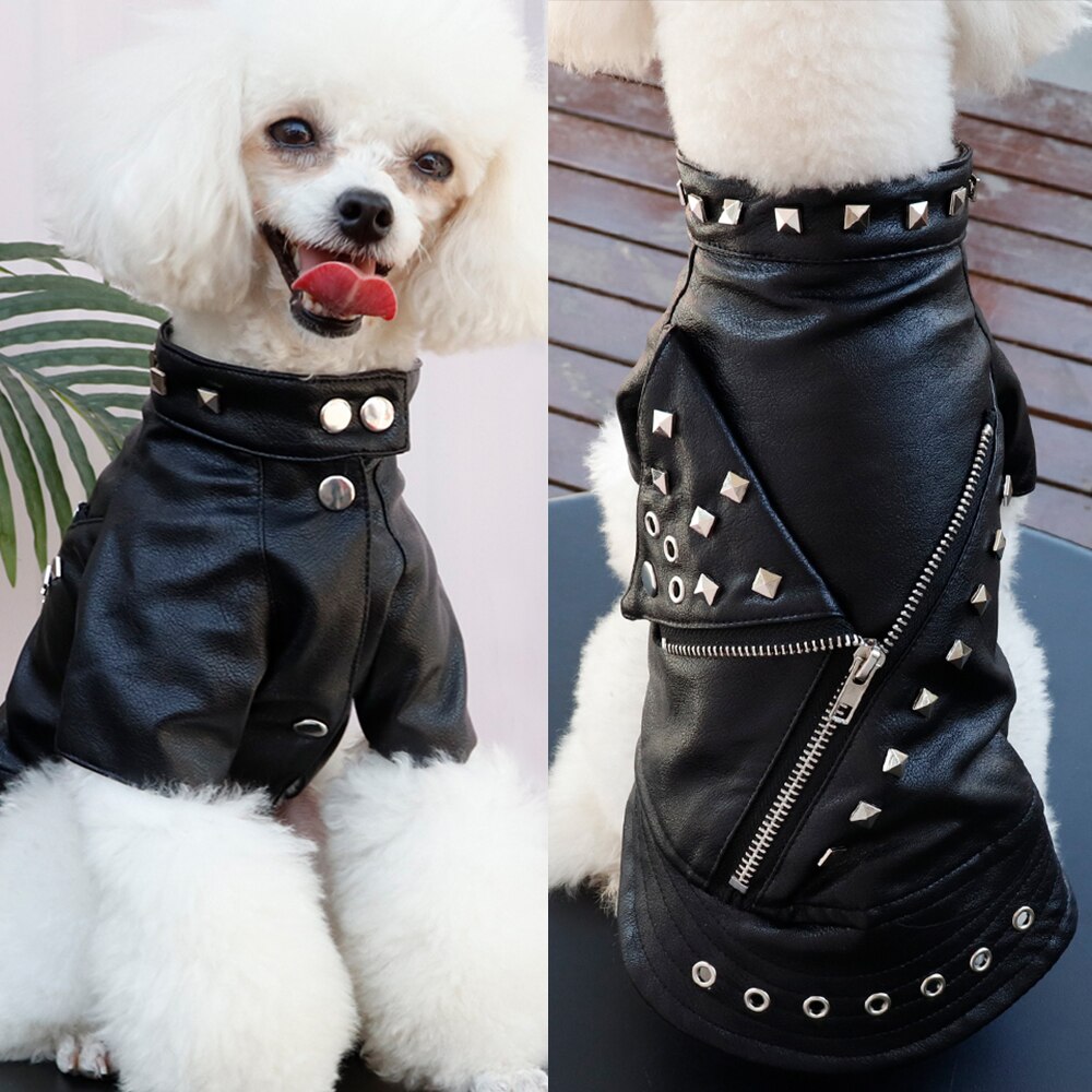 Cool hundejakke fransk bulldog hvalp hundetøj kæledyrsfrakke chihuahua mops kæledyr hunde tøj til små mellemstore hunde hvalpe outfit