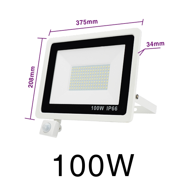 LED PIR Motion Sensor Floodlight AC220V Cold White Indoor Outdoor Spotlight IP66 Waterproof Courtyard Footpath Sensing Lighting: 100W Cold White