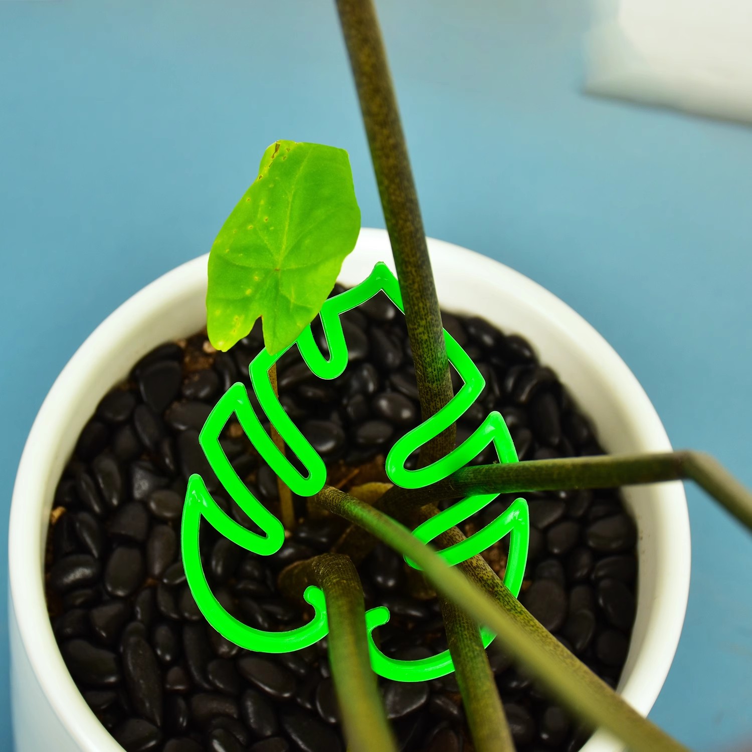 Estacas de soporte para tallo de planta de hoja, soporte para planta de interior trepadora, marco de plástico para jardín, sin estaca, enrejado, soporte para plantas de interior, aros