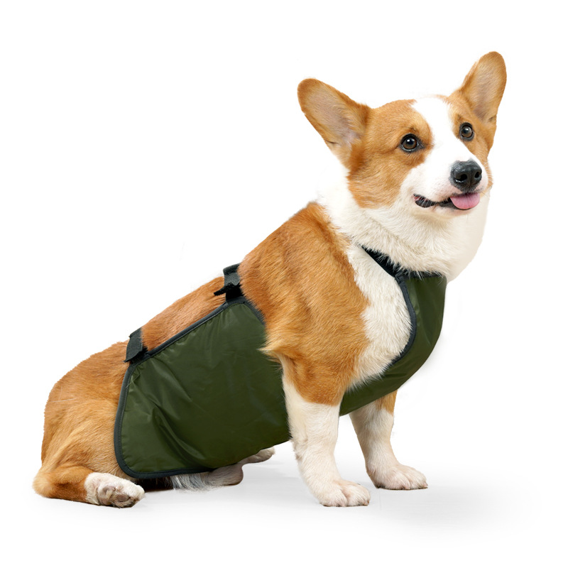 Carlin Corgi animal de compagnie chien Bellyband vêtements imperméable respirant Anti ventre couverture bavoir poche chien Costume Corgi Bellyband gilet: S / WHITE