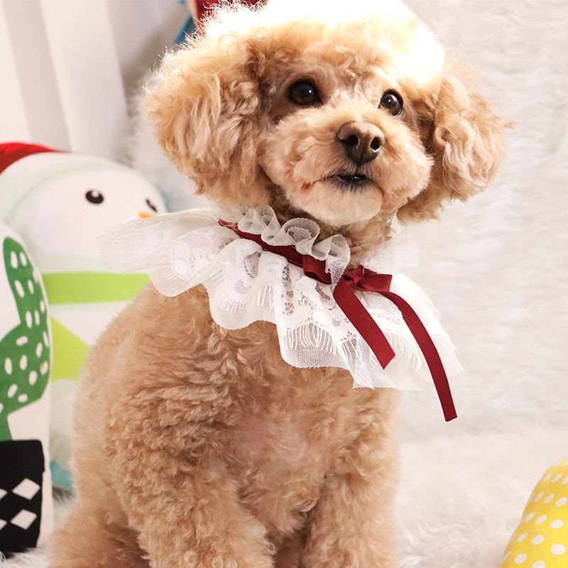 Puppy huisdier accessoires honden konijn kant halsband speeksel handdoek jaar kerstmis nek omtrek