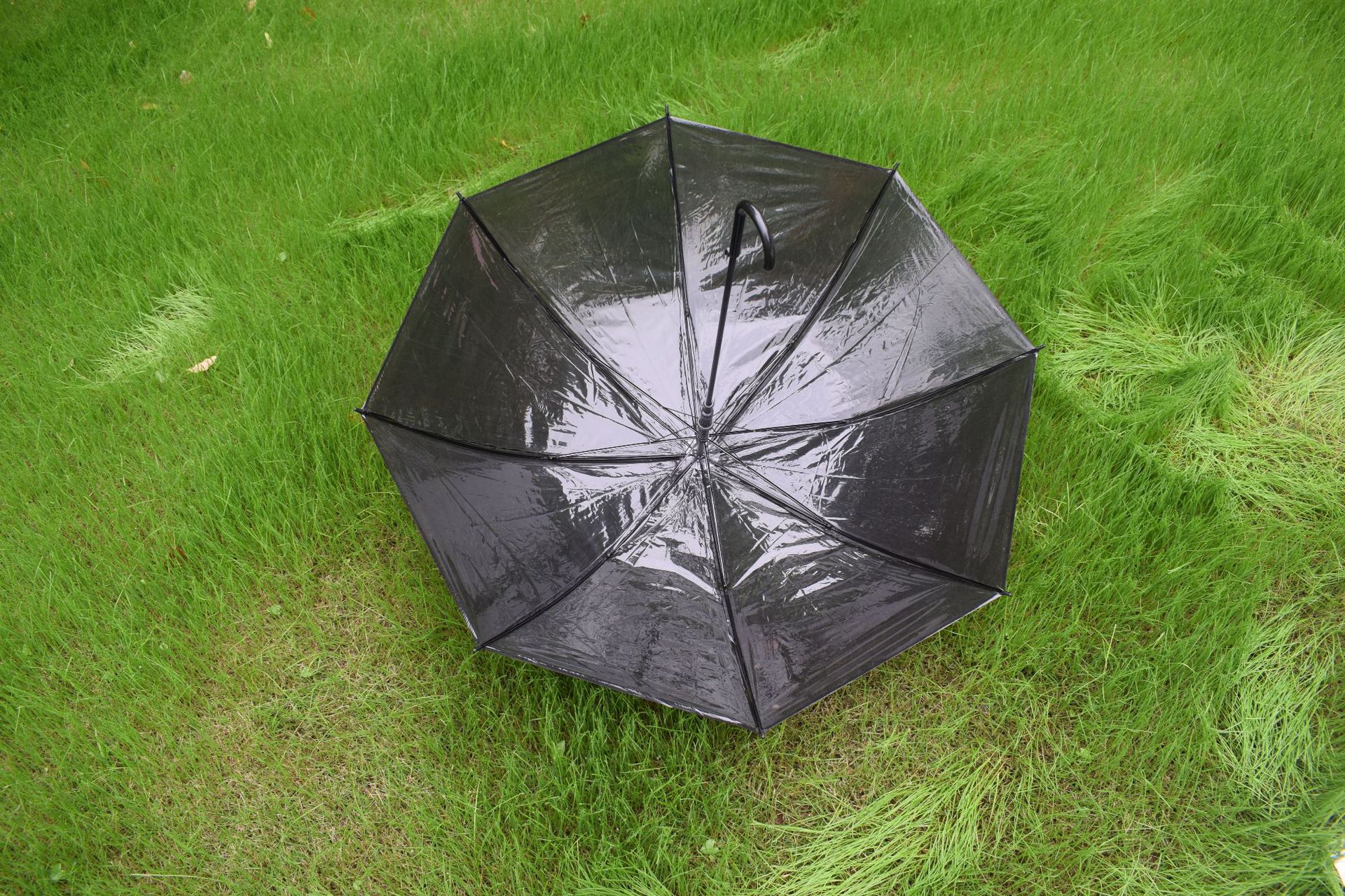 8-Bone Lightweight Small Fresh Umbrella Transparent Straight Umbrella Semi-Automatic Multicolor Polka Dot Ladies Umbrella: Transparent black