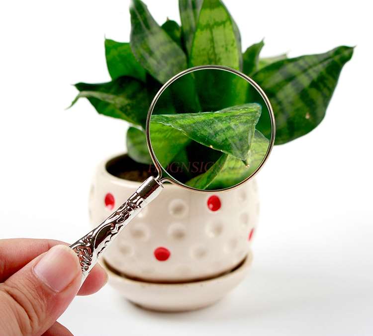 magnifying equipment Magnifying glass portable handheld optical glass old man looking at mobile phone magnifying