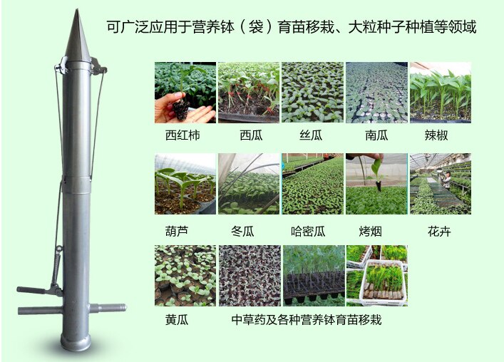 Rapid seeder stainless steel planter Seedling transplanting device Fertilizing seeder for Vegetable Planting garden equipment
