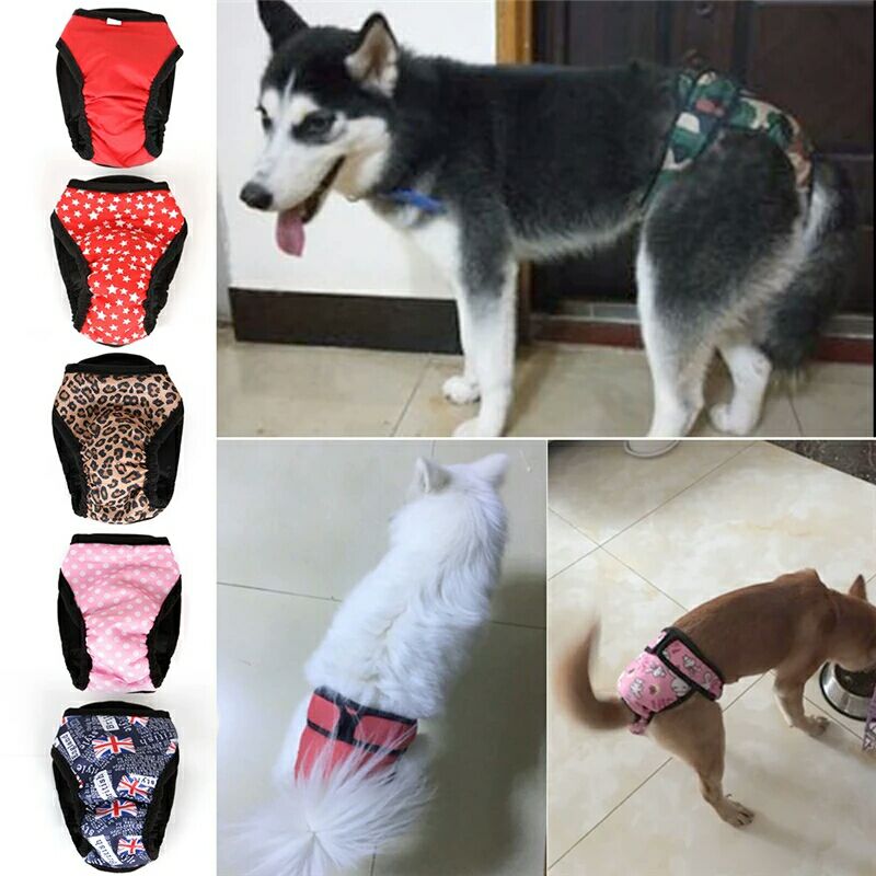Animal de estimação calça fisiológica loopheidsbroekje cachorro roupa interior shorts fralda para cães culotte pour chienne braitulas para perro teddy