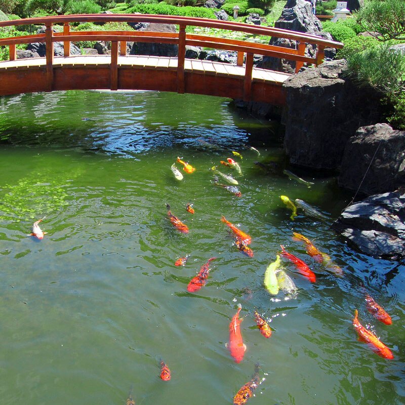 20pcs Floating Pond Protectors Plastic Net Fish Guard Grid Cover for Birds Pests @LS