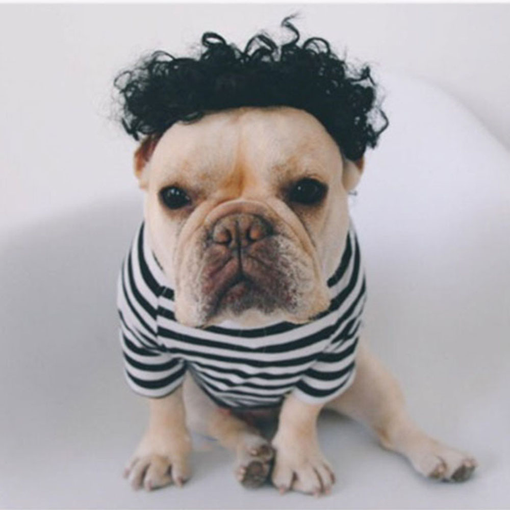 Perruque pour chat et chien, accessoires de Cosplay pour animaux de compagnie, ensemble de cheveux pour chiot, accessoires de photographie amusants, accessoires de tête pour farces: C
