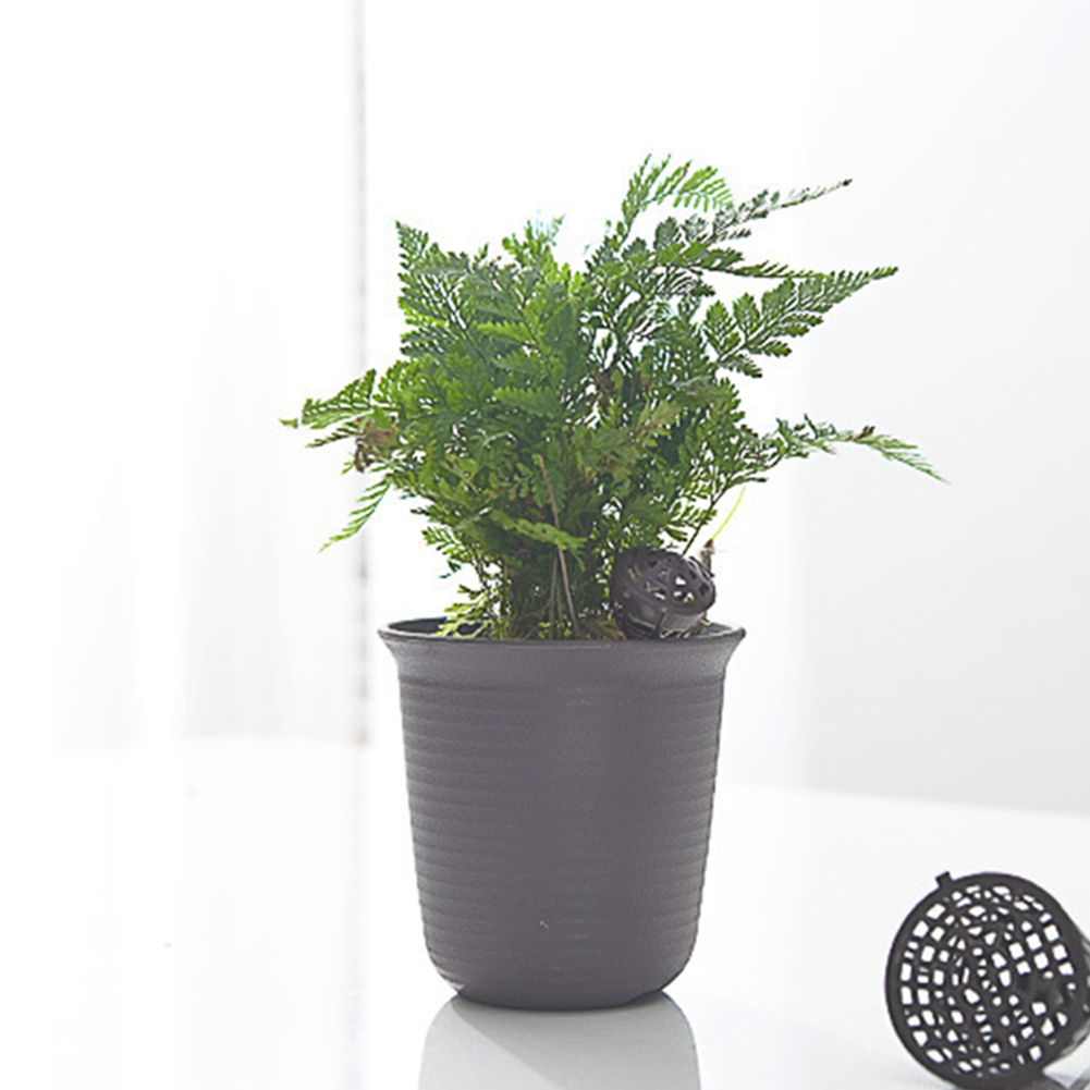 10-50PCS Fertilizer Basket with Lid Fertilizer Box Case Easily Carrying Part Bonsai Fertilizer Container Eco-friendly Tool