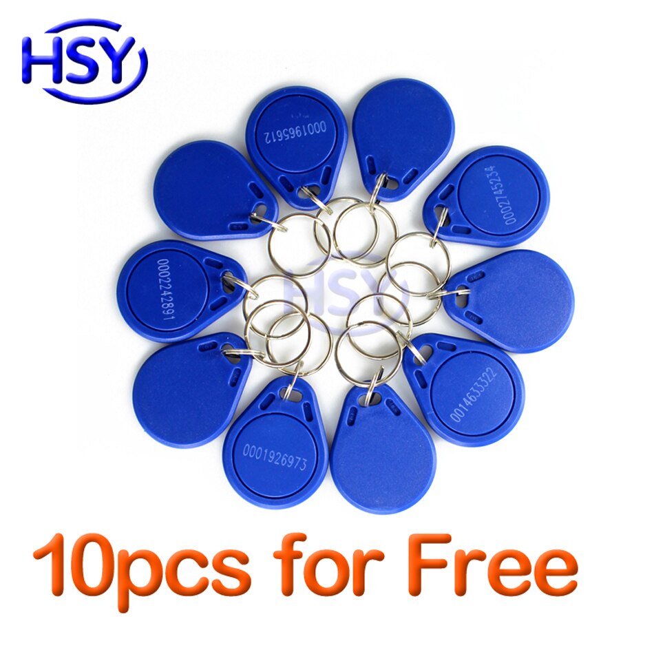 Hsy metalen behuizing touch toetsenbord standalone controller lezer rfid em kaart enkel deur toegangscontrolesysteem met 10 stuks gratis sleutelhangers