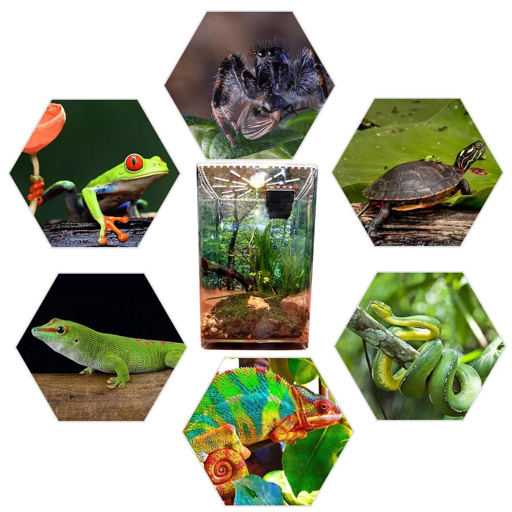 Reptile Tank Insect Spiders Tortoise Lizard Acrylic Transparent Breeding Box Vivarium Lid Reptile Pet Product Terrarium L Size