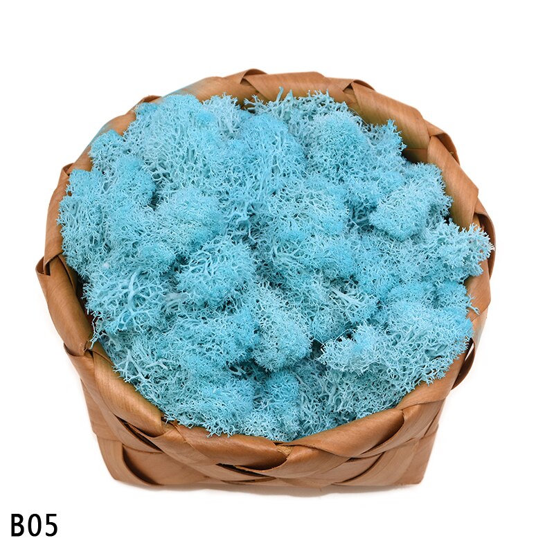 40g kunstige planter evigt liv mos mini have mikro landskab tilbehør boligindretning væg diy blomster materiale: B05