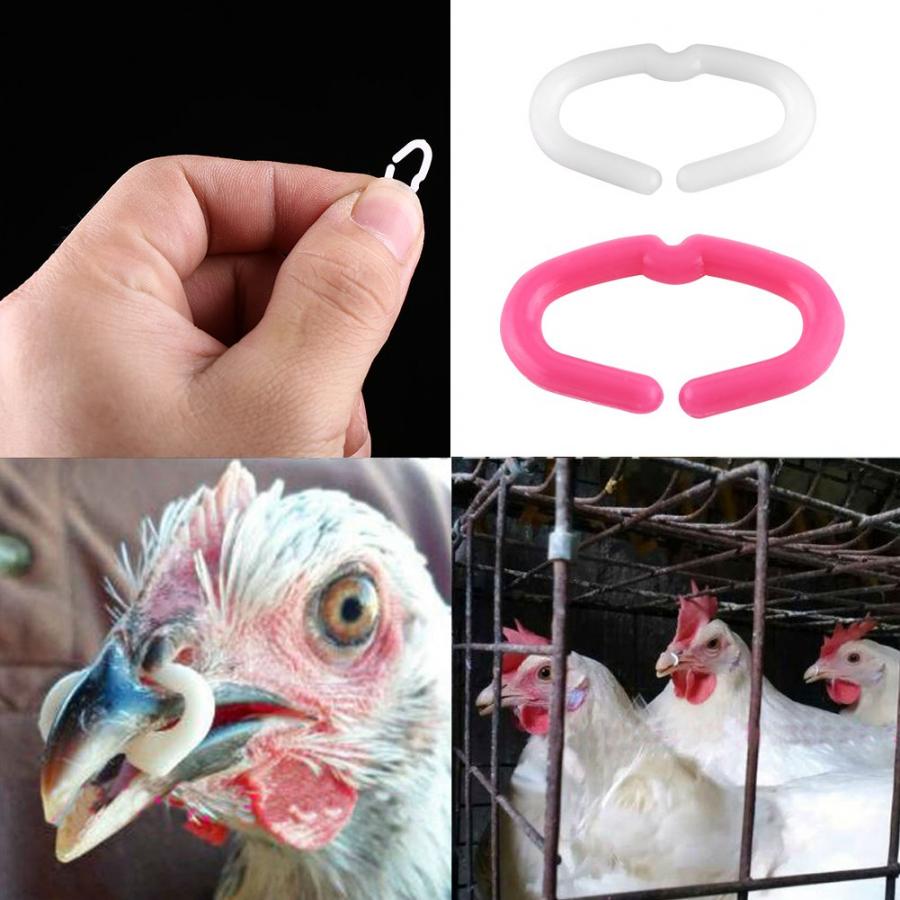 Anneaux en bec de poulet, fermoir en forme de bec, pour la bouche, anneau Anti-picotement, accessoires, couleur aléatoire, 50pcs
