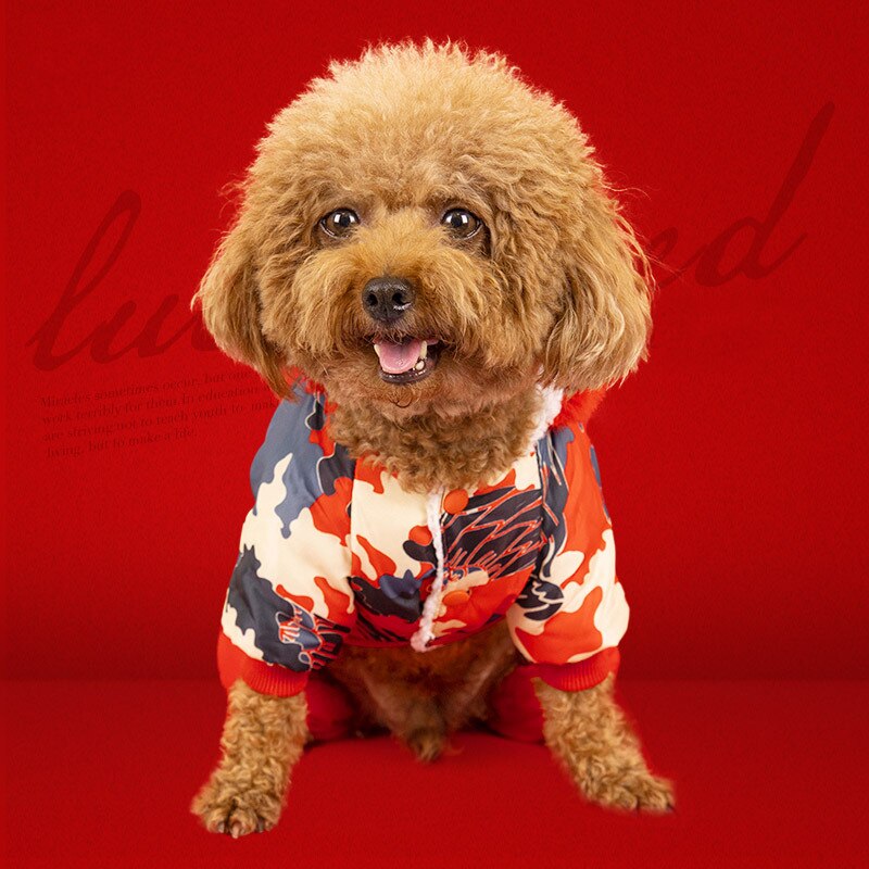Kall vinter xxl hunddräkter butik på husdjur jumpsuit för tax shih tzu mops yorkie små djurkläder produkter