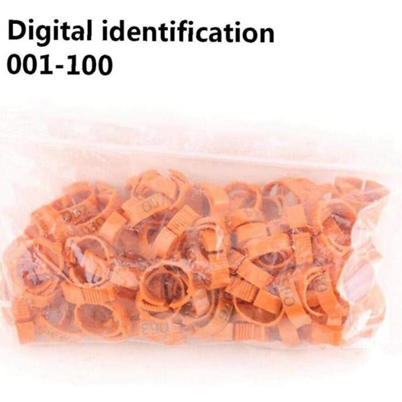 100 st kyckling identifiering benband taggar fjäderfä ben band fågel ben band ank ben band clip-on ringar