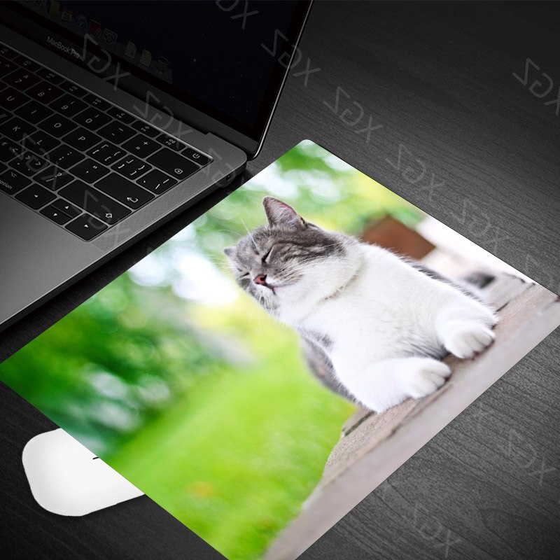Yzuoan Cute Cat Kitten Animal Keyboard Game Notebook Mouse Pad Game Pad Mouse Desk Mat: 22x18-11