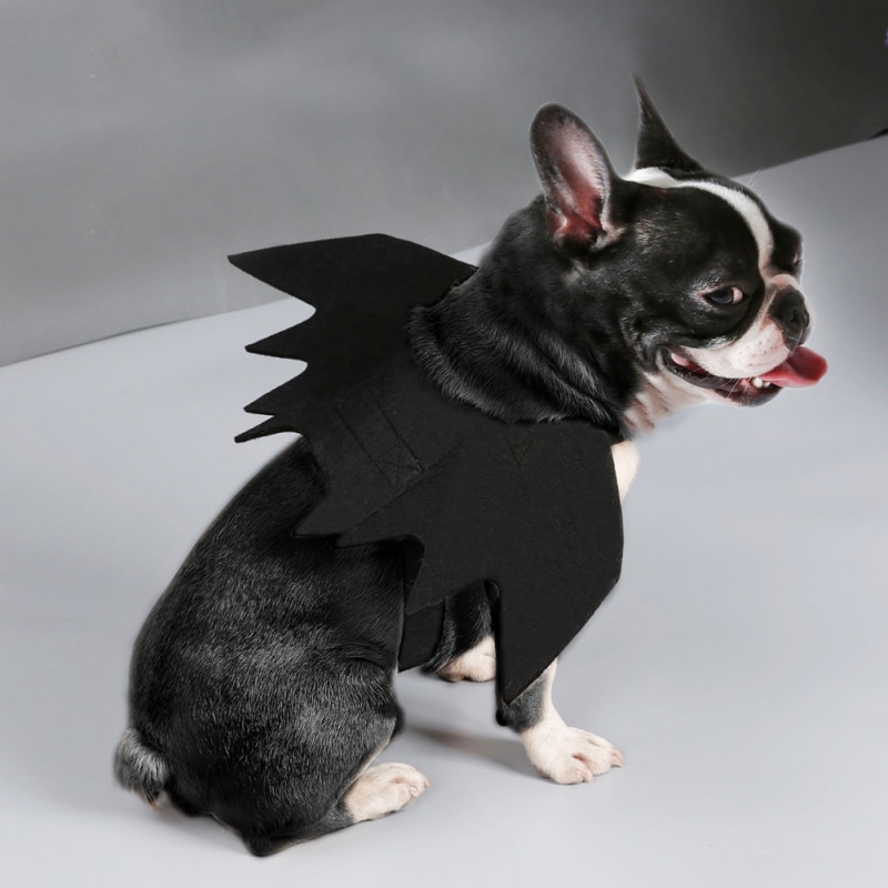 Costume Cosplay ailes de chauve-souris pour chat | Tissu feutré pour animaux domestiques, déguisement chiens chats de jeu, accessoires d'animaux mignons, vêtements d'halloween