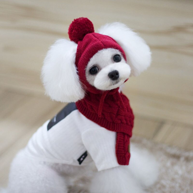 Mini chapeau d&#39;hiver tricoté pour animaux | Ensemble écharpe pour chiens, produits pour animaux de compagnie, Cosplay amusant, bonnet pour chien Chihuahua, accessoires pour chiots