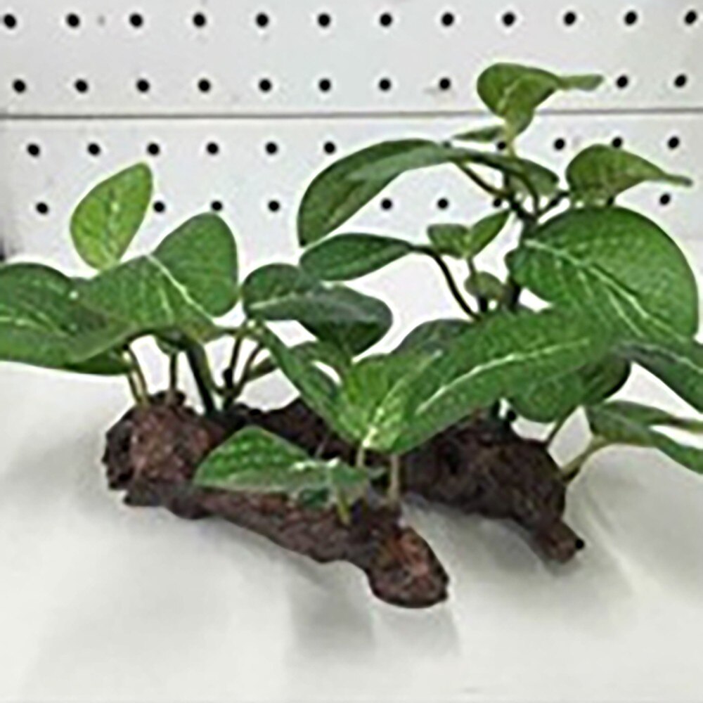 Aquariumplanten decoratie kunstmatig water onkruid accessoires voor aquarium aquarium decoratie ornament plastic aquarium landschappen