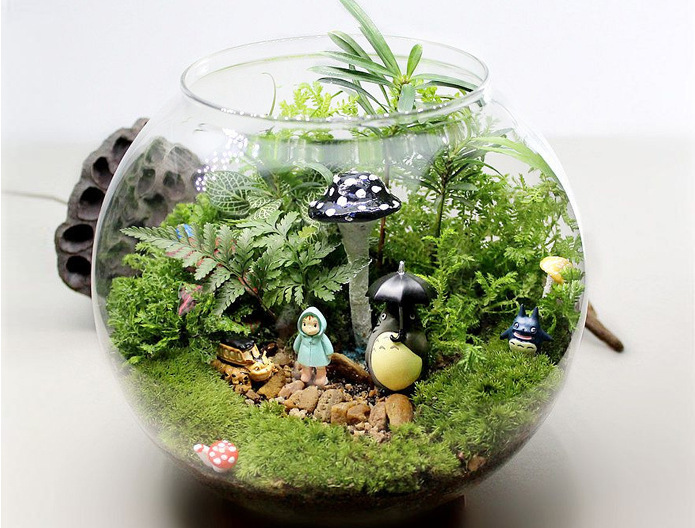 1pc handgemaakte micro-ecologische transparante vazen, multifunctionele glazen vazen met deksel, huwelijksdecoratie, huisdecoratie  jy 1203