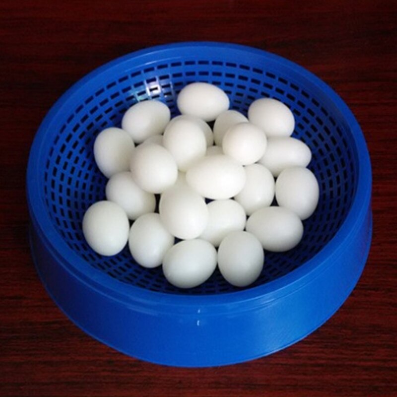5 stk / lot due falske æg fyldt plastik simulation til ruge avl forsyninger