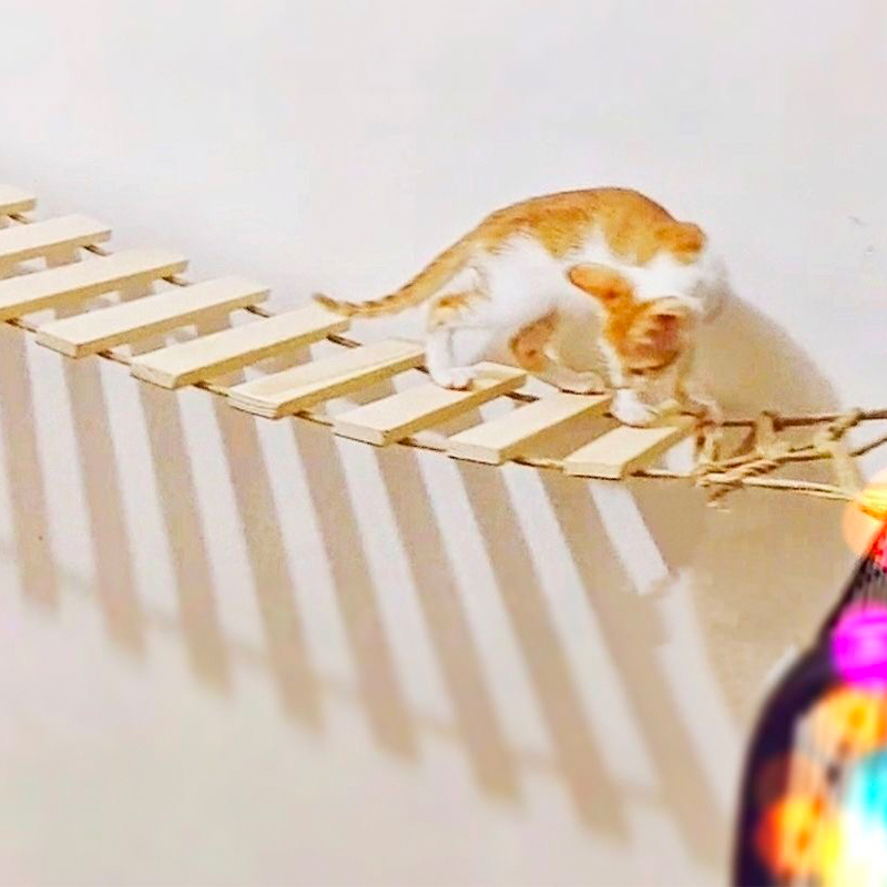 Juguetes de pared para actividades, rascador de Sisal de madera para gatos, muebles escaladores, puente para gatos, escalones de cuerda, escalera para gatitos, poste para pared