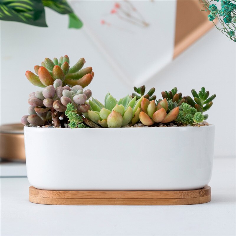 Oval White Ceramic Succulent Flowerpots Green Succulent Plant Pot with Bamboo Stand Small Bonsai Pots Green Planters
