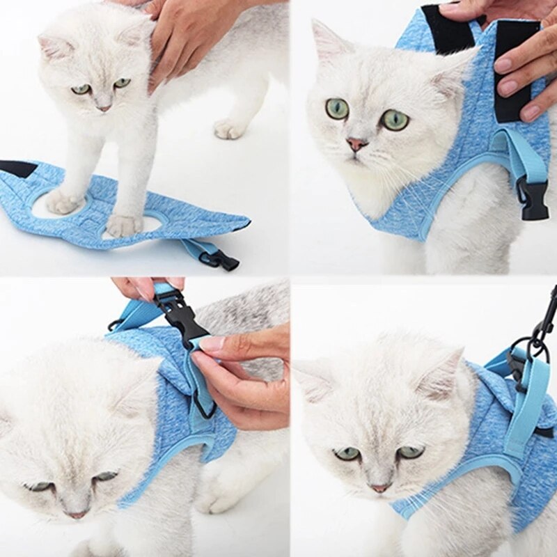 Cat Harness Leash Adjustable Safety Belt Vest Breathable Comfortable Cat Walking Lead Leash Kitten Small Dogs Pet Accessories