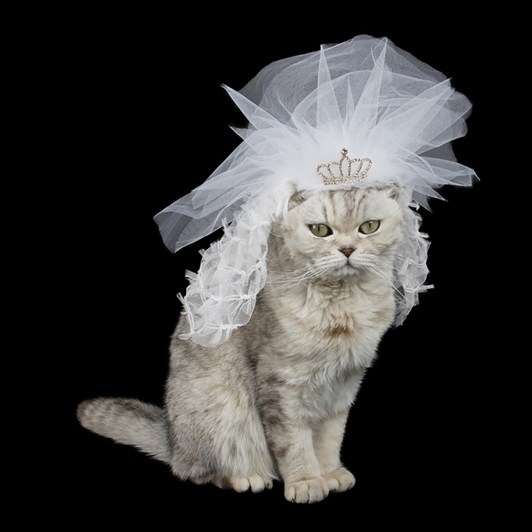 Diadema de creativa para gato, velo decorativo para boda, tocado para mascota, disfraz para , accesorios para gato