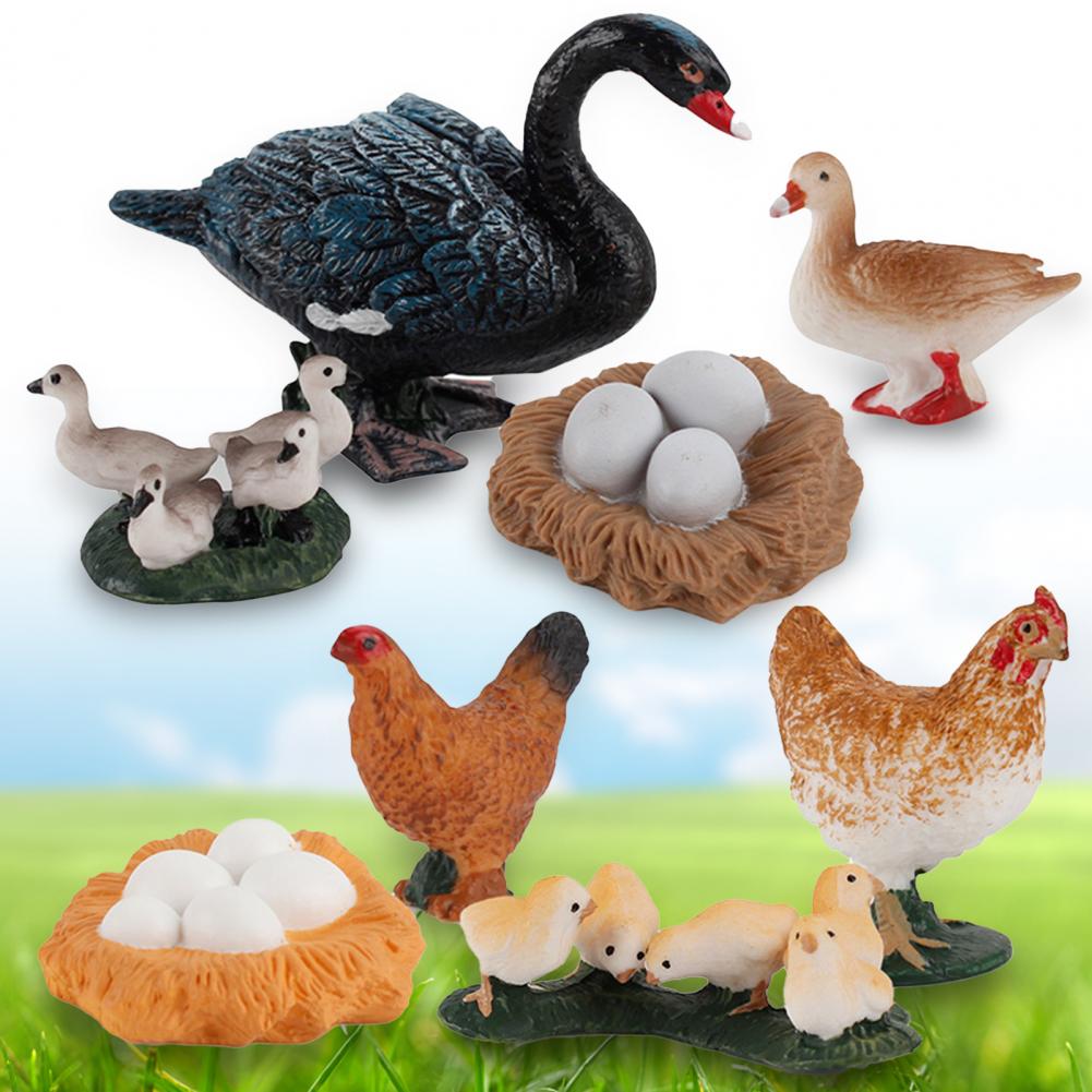 Kip Eend Gans Zwaan Groei Cyclus Simulatie Gevogelte Speelgoed Thuis Bureau Ornament Home Desk Ornament Simulatie Gevogelte Speelgoed