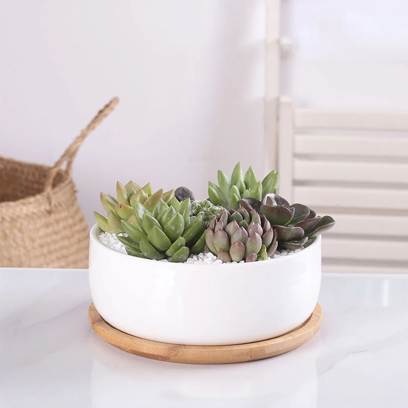 1 einstellen Minimalistischen Weiß Keramik Sukkulente Topf Porzellan Tiefe Abgerundete Topf Schreibtisch Topf Zakka Wohnkultur (1 Topf + 1 fach)