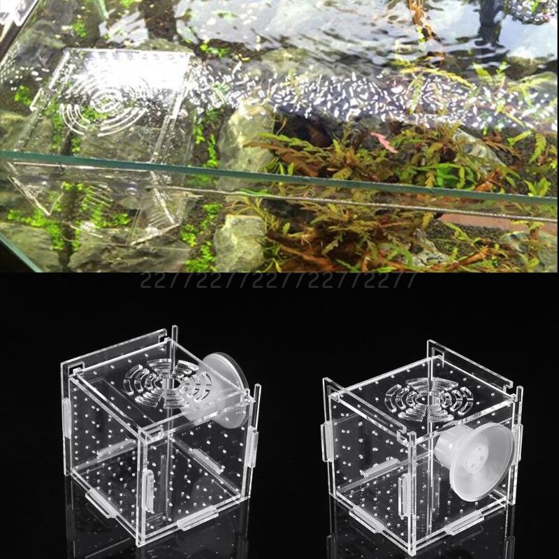 Akvariefisk opdræt isolationsboks baby fisk inkubator luge opdrætter akvarium  n21 19