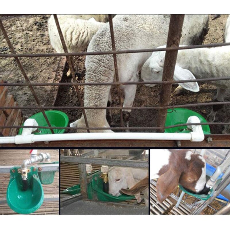 Automatische Water Kom Vloeibare Drinker Schapen Koe Vee Varken Geit Paard Farm Animal Feeder Drinken Tool Vervangen Vee Koperen Klep