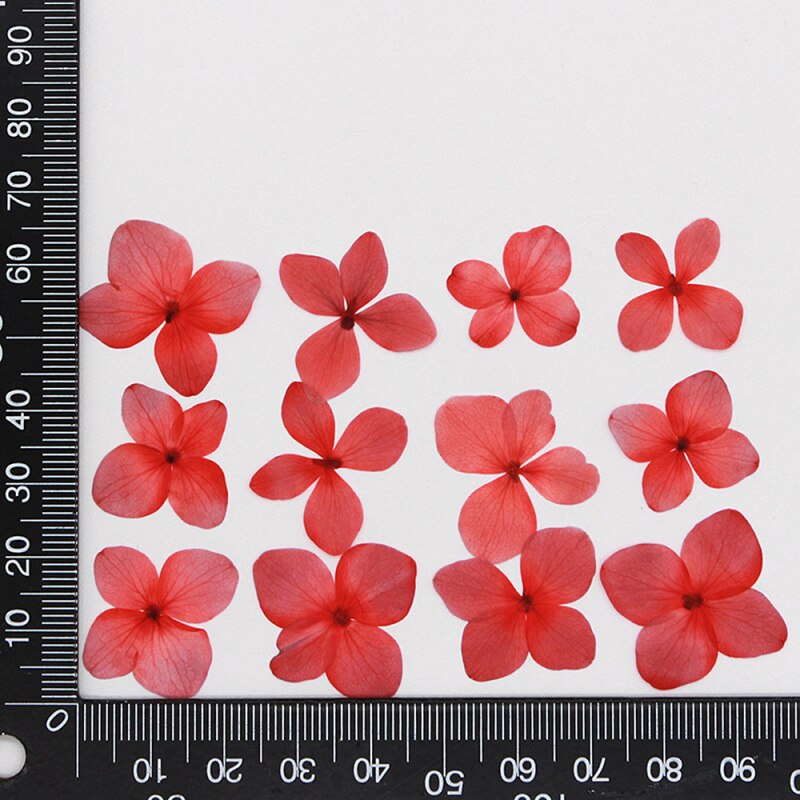 60 stuks/pak hortensia epoxy gedroogde bloemen reliëf plant specimen handgemaakte doe-het-zelf aromatherapie materiaal accessoires: 17