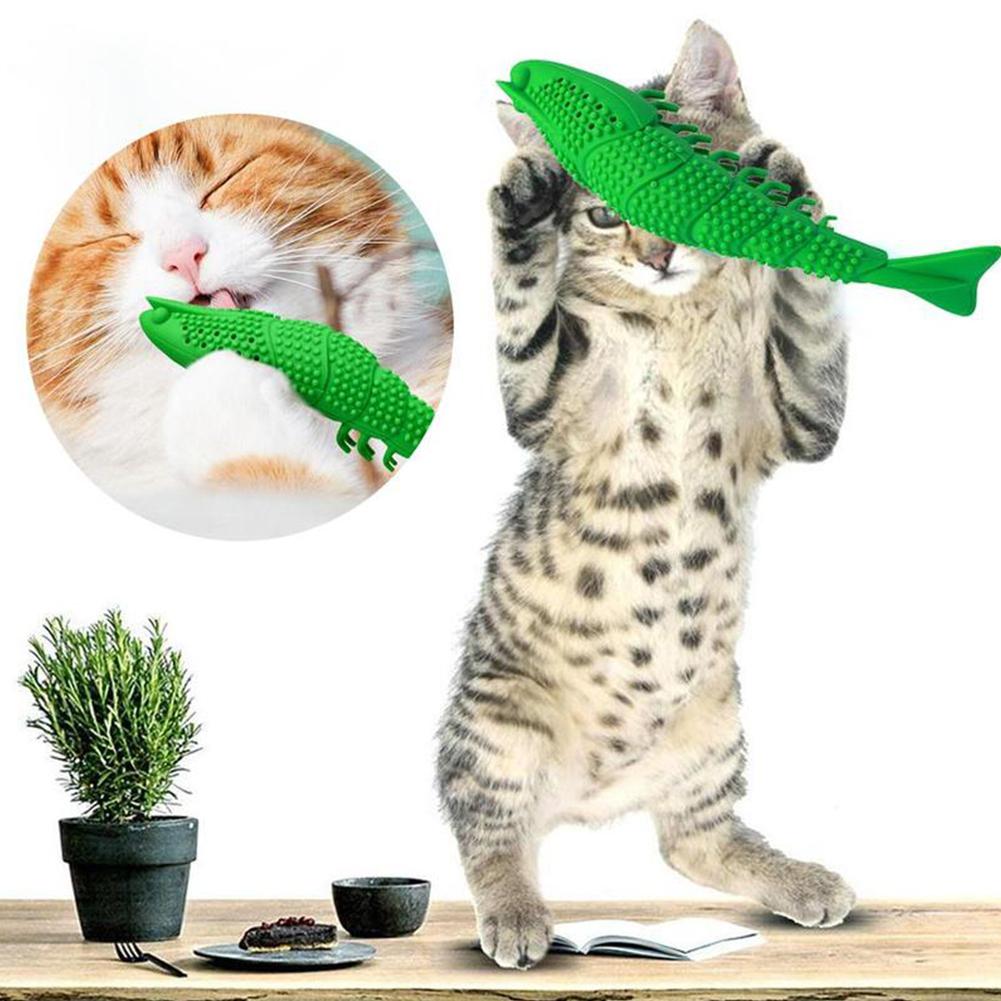 Katt tannbørste kjæledyr tenner sliping rengjøring catmint leketøy: Default Title