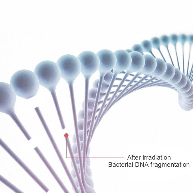Grzebień dla psa kot antywirusowy anty-roztocza ręczna lampa dezynfekcyjna UV kij masaż Mit zwierzęta narzędzia fryzjerskie