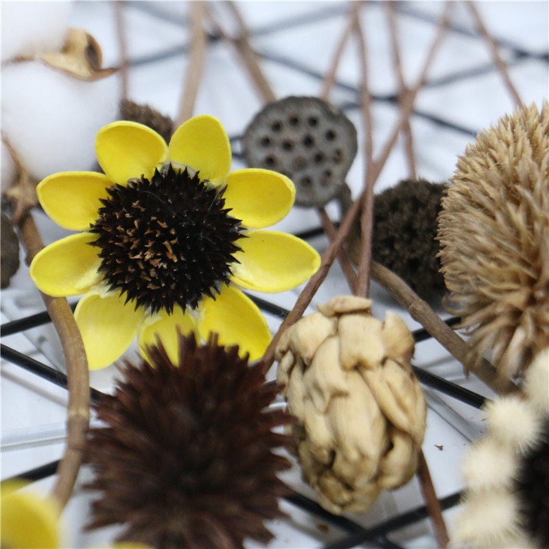 Ægte naturlige tørrede blomster fyrrekogler lotusrod tusindfryd jul år bryllup dekoration ornament blomsterhandlere boligindretning håndværk