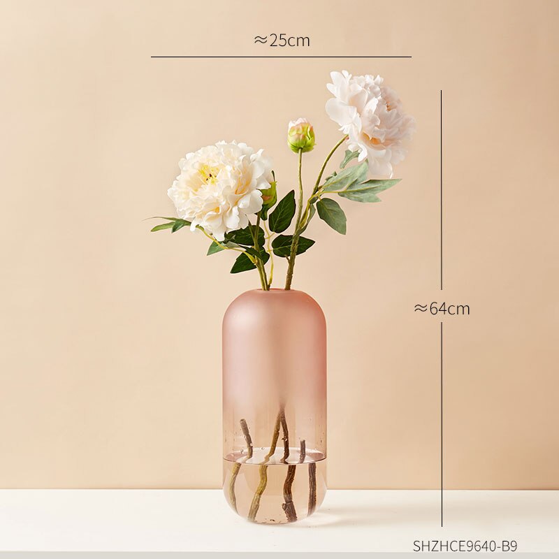 Eenvoudige decoratie van gematteerde glazen vazen, transparante vazen, scandinavische interieurdecoratie, inzetstuk voor thuis, bloemenknutsels: G